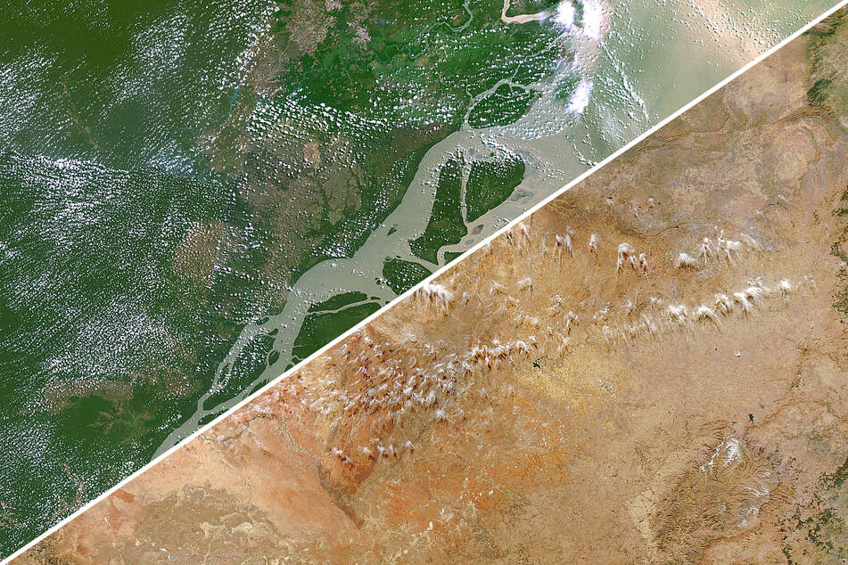 The Amazon rainforest might soon dry out enough to become open savanna.