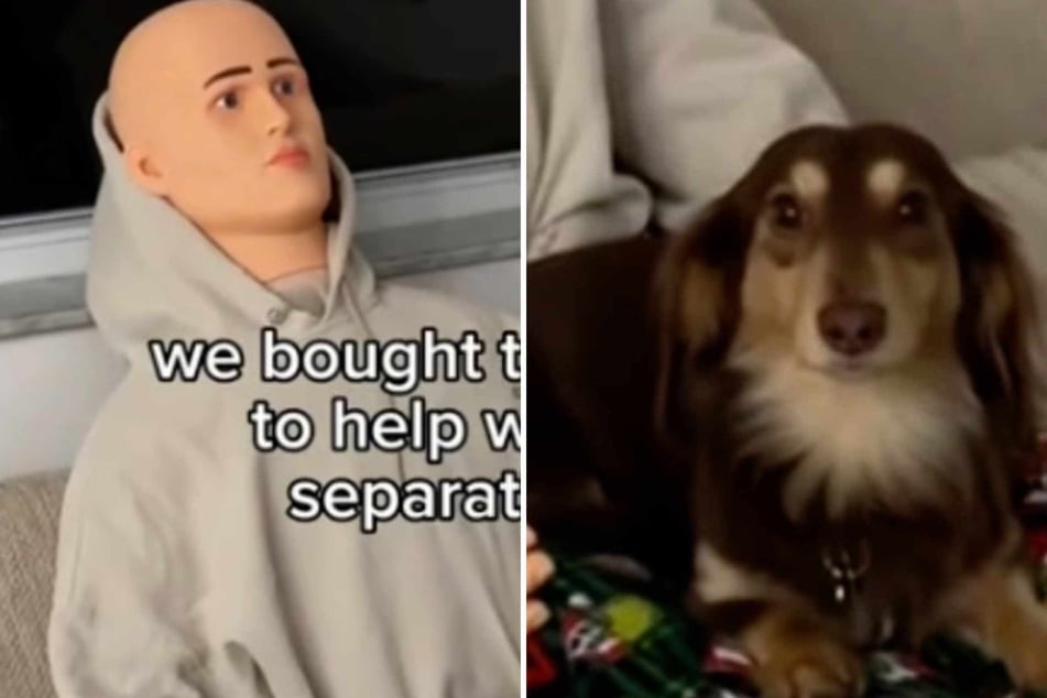 Dog with separation anxiety gets emotional support mannequin, and viewers are terrified