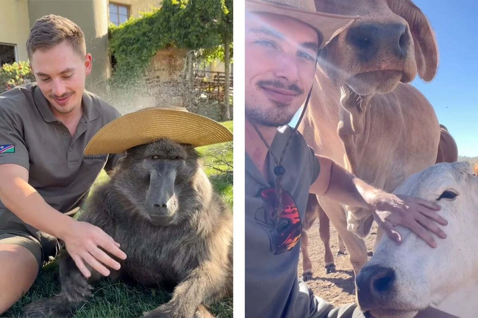 Ruben Lambrechs spends his everyday life with very different farm residents like Cindy the baboon and Snowy the cow.