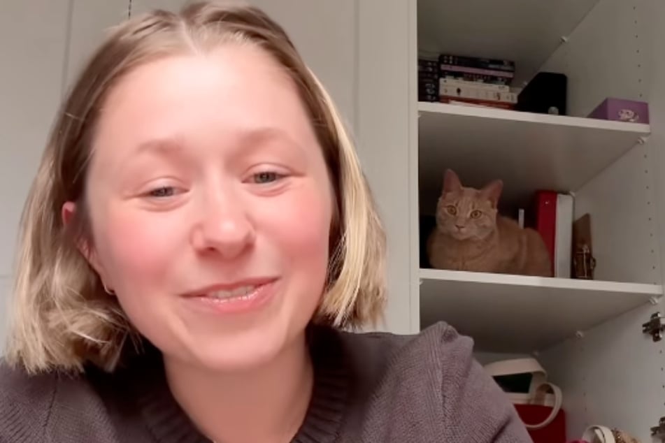 Hallie Walker describes the crazy situation involving her cat and a new IKEA cabinet in a video.