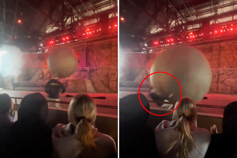 Disney employee hailed as hero after getting hit by 400-lb ball to save audience