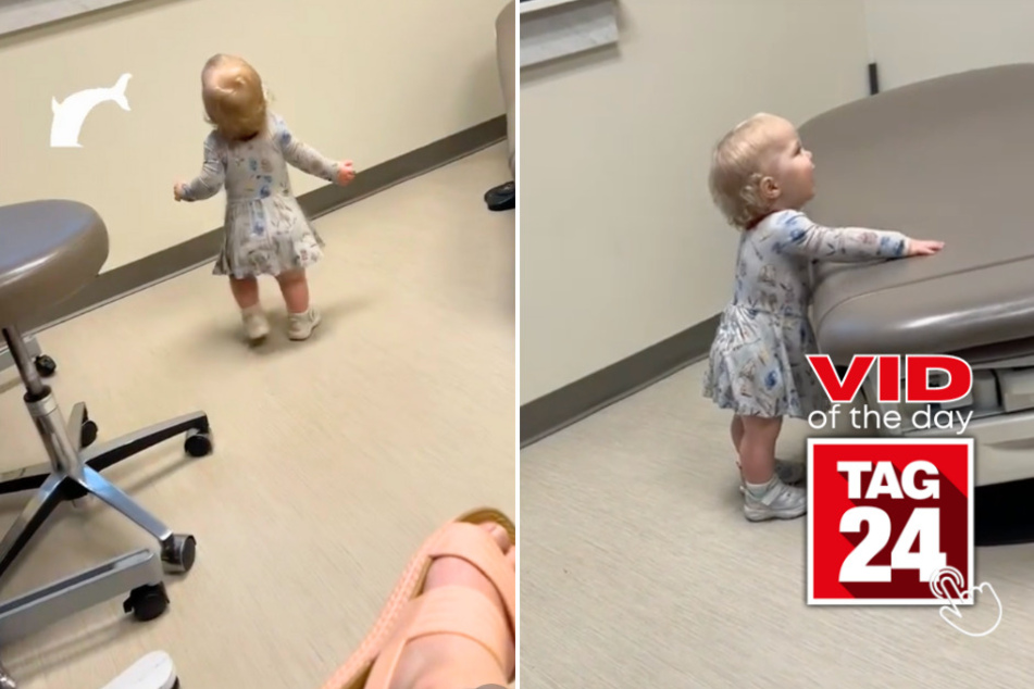 Viral Video of the Day for June 25, 2024: Cute little girl or giggly dolphin? You decide!