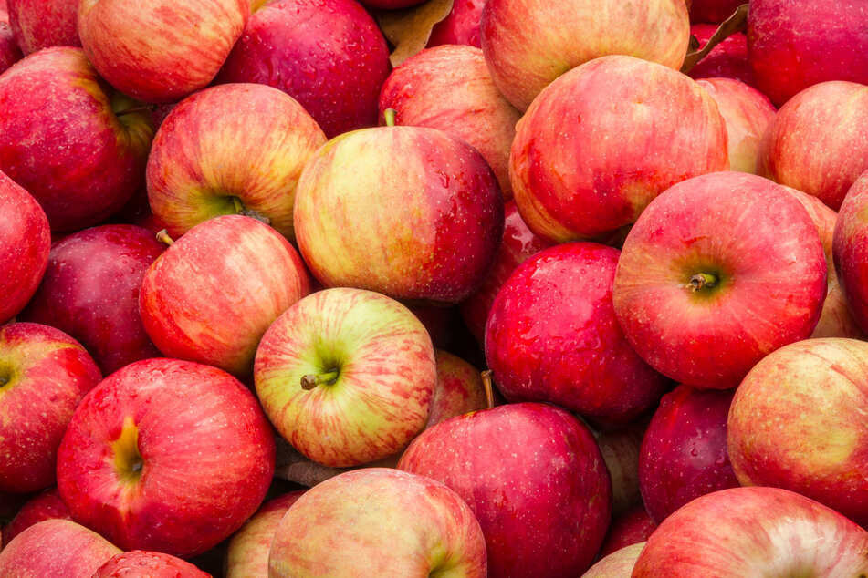 One British grocery shopper got a lot more than apples as a gift with his online order (stock image).