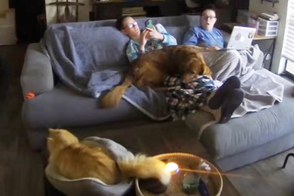 Emily (r.) and her wife quickly realize that Harper the cat is involuntarily playing with fire.