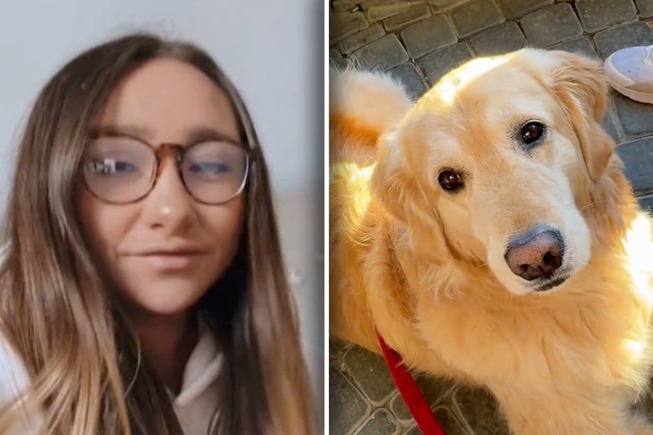 Kevin's owner received the cold shoulder from her dog after returning from a trip.