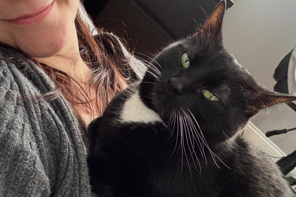 Hopefully, this cat's next owners will take better care of her.