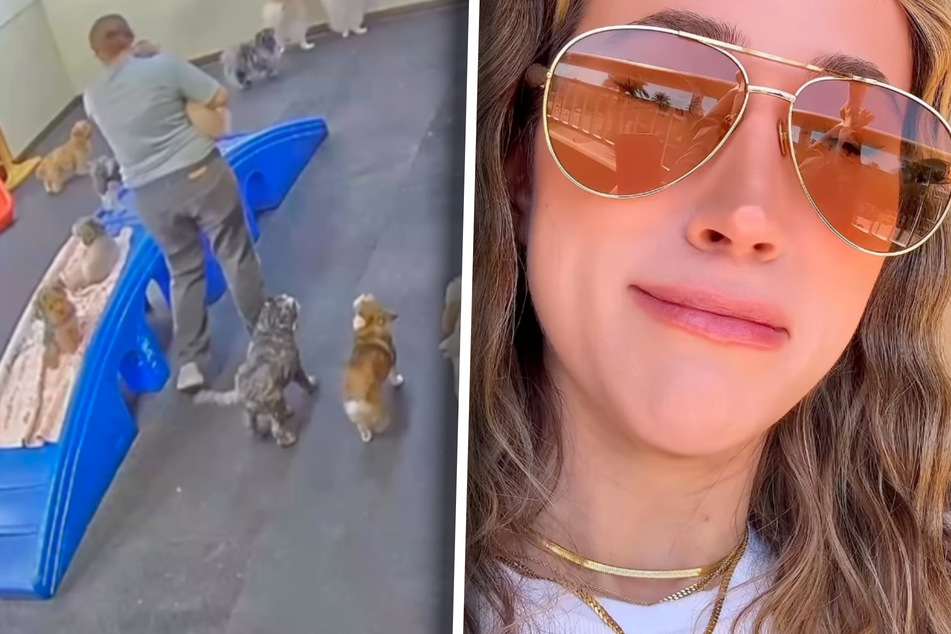 Dog mom takes a look at dog daycare video: what she sees there breaks her heart