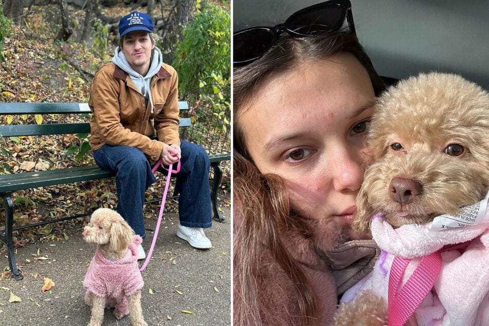 Millie Bobby Brown celebrates dog's birthday in adorable fashion