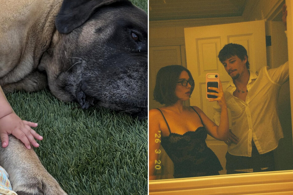 Millie Bobby Brown shares peek at life with Jake Bongiovi, their baby, and plenty of dogs in sweet post