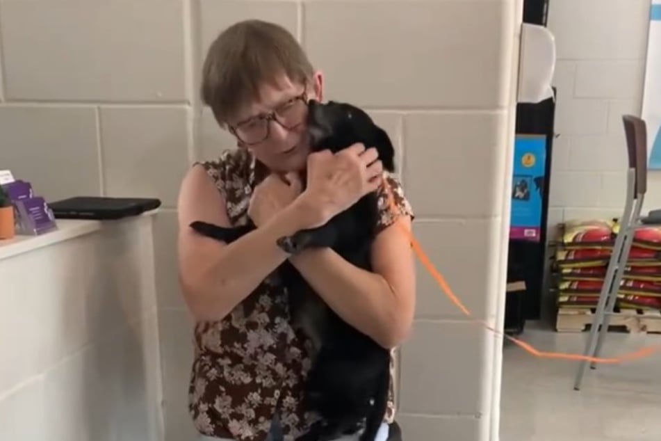 As fate would have it, Gracie's human could have her beloved dog by her side in her new home.