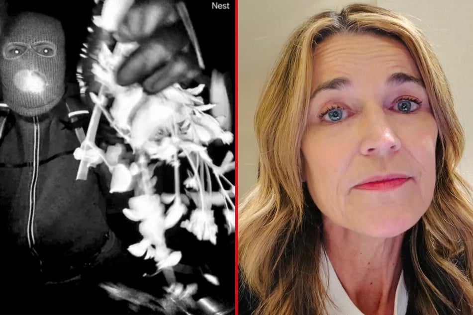 Nancy Guthrie case takes turn as Savannah Guthrie issues new plea: "Tell us where to look"
