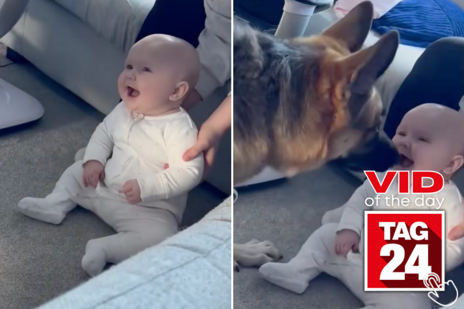 Today's Viral Video of the Day features a woman who caught her baby laughing uncontrollably at their crazy dog!
