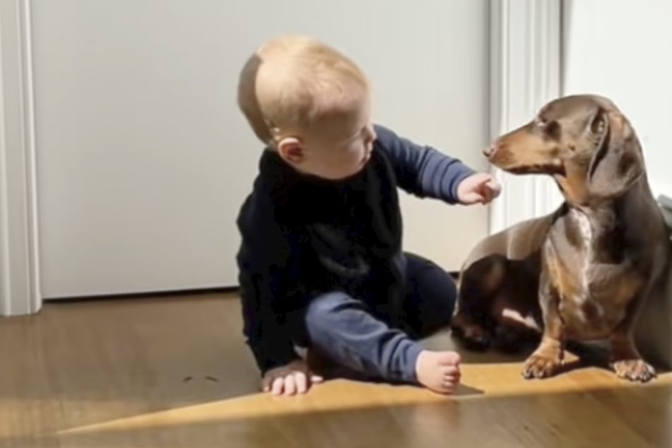 Baby and dog are suspiciously quiet – when mom checks on them, she melts!