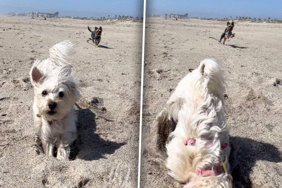 The look says it all: in that second, Ellie realizes that things are going downhill.