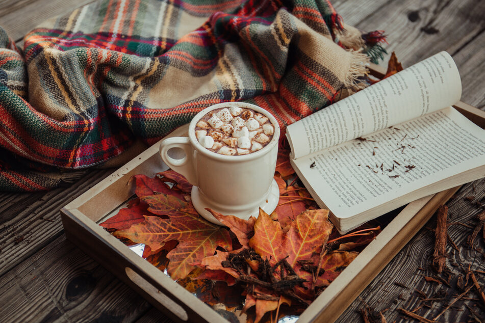 Fall 2023 is shaping up to be a great reading season with several new paperback releases.