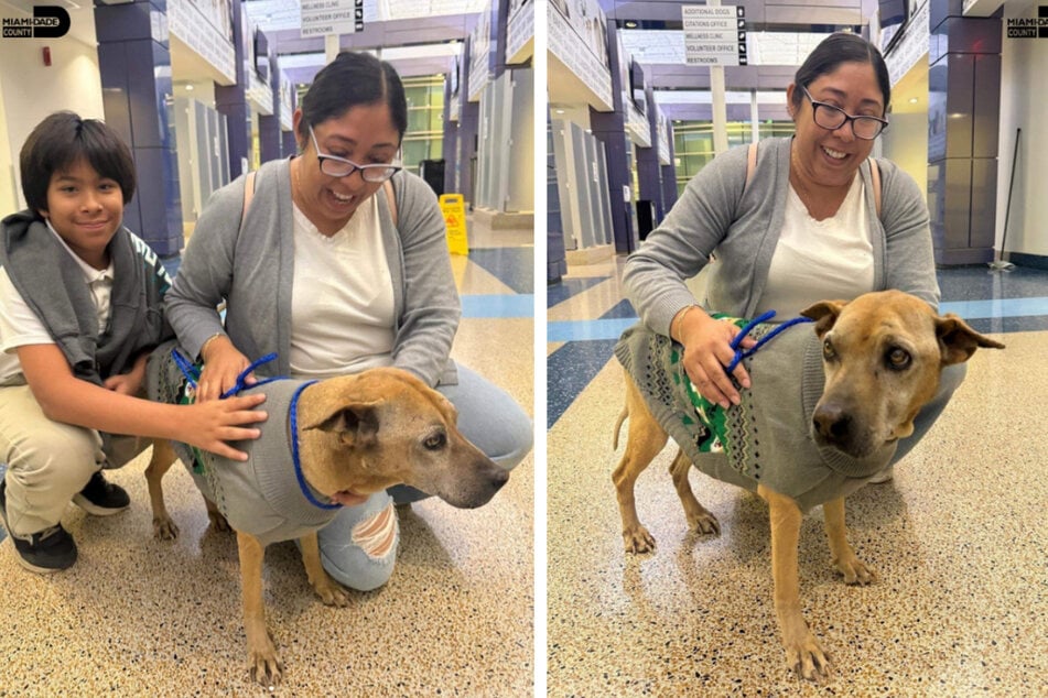 Owner believed her dog was dead – ten years later, a microchip changes everything