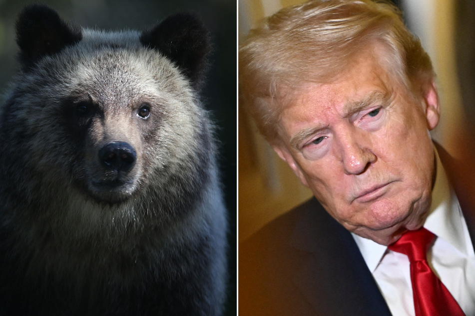 The Trump administration aims to remove degradation of habitat from its definition of "harm" to endangered species.