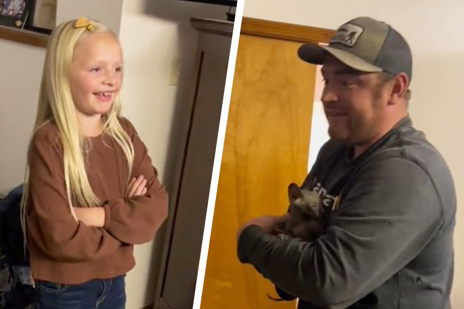 Hairless kitten horrifies kids and TikTok users are loving it