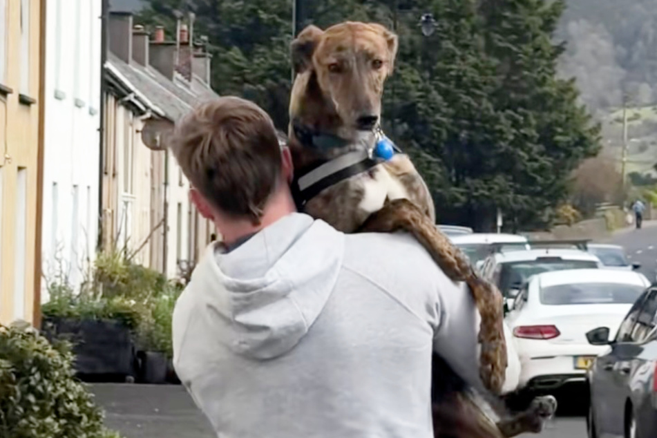 Although Diesel the dog is considerably larger today, he still enjoys being carried around.