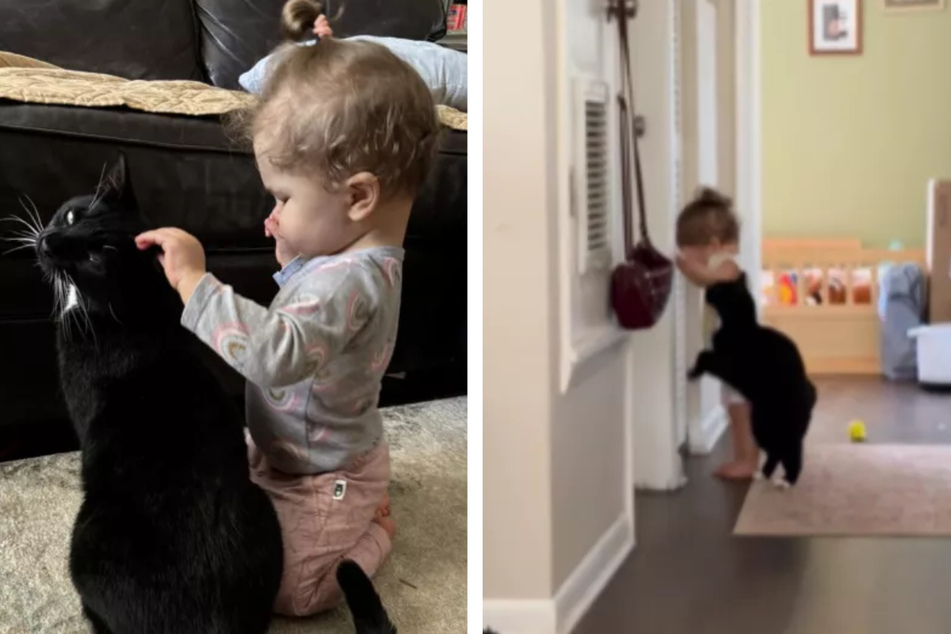 In a viral post shared to Reddit, cat owners Alexis and Bryce revealed how their feisty feline Wheatie has formed a precious bond with their blind daughter.
