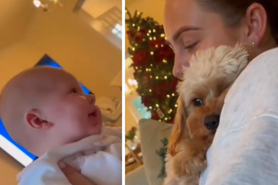 A dog who used to be the spoiled only child before his owners had twin daughters still wants to be the baby of the house in an adorable TikTok video!