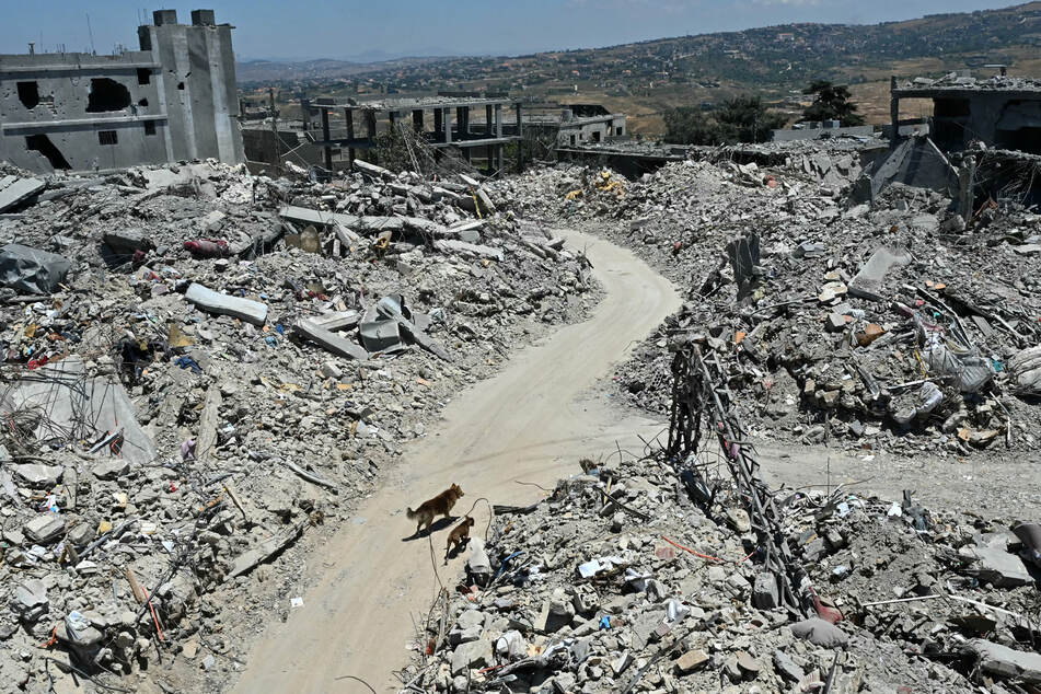 Stray dogs walk past the rubble of flattened homes and businesses, destroyed by the Israeli military, in the southern Lebanese village of Tibnin on June 24.