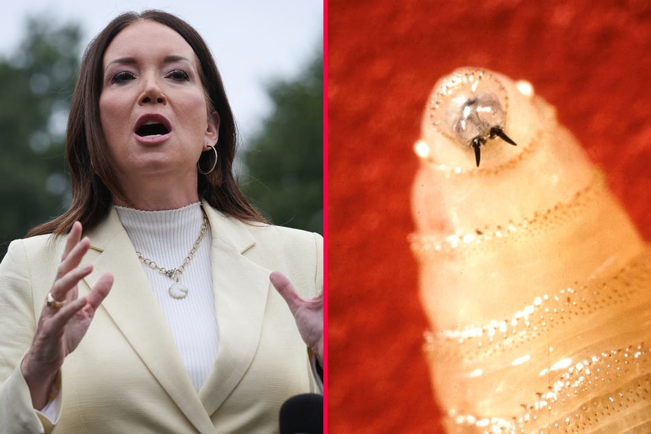 Trump admin slams Mexico for inadequate response to major border biosecurity threat