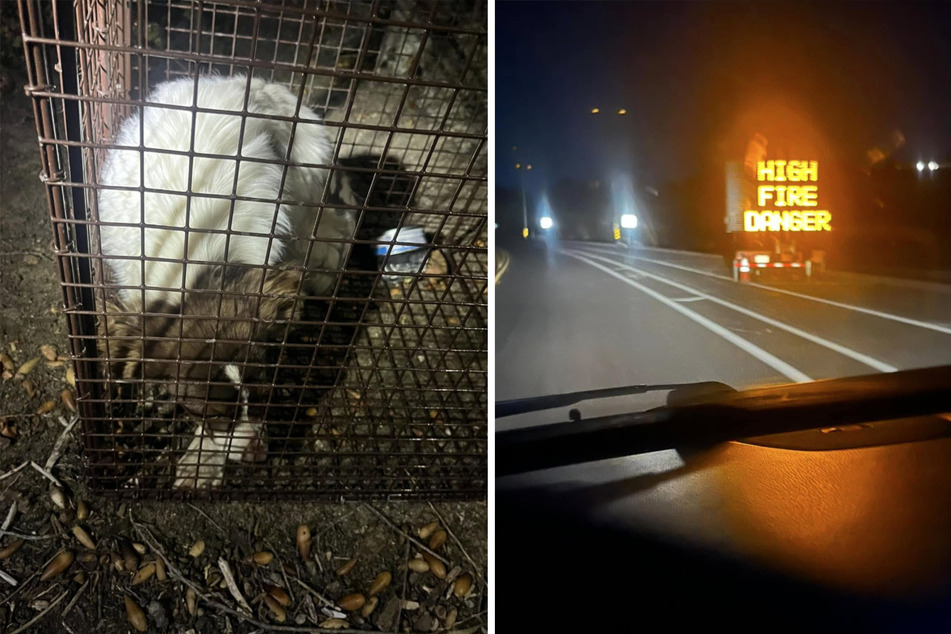 Animal rescuer Suzette Hall recently posted about an extraordinary dog rescue operation amid the devastating wildfires in Los Angeles.