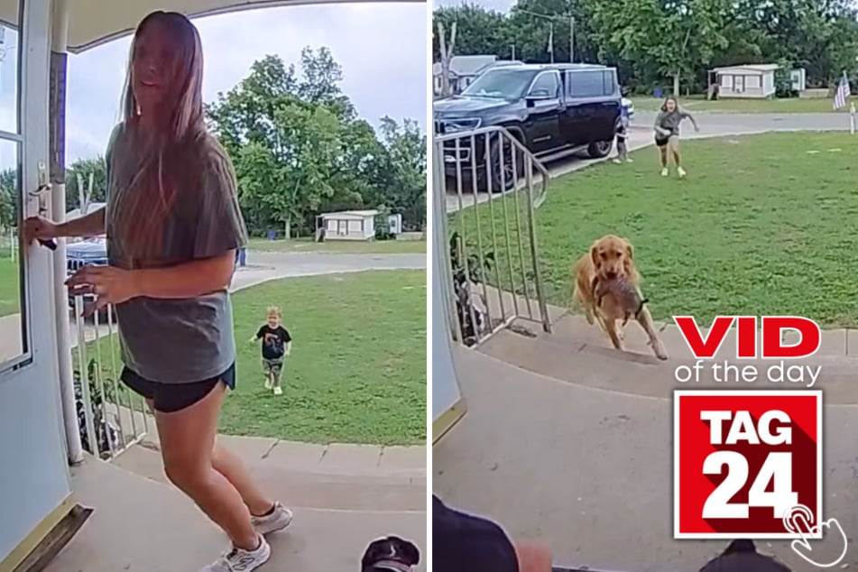 This family's chaotic doorbell camera footage has the internet cracking up!