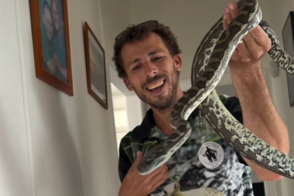 "Snake Catcher Dan," as Busstra calls himself on social media, has a good laugh with the animal.