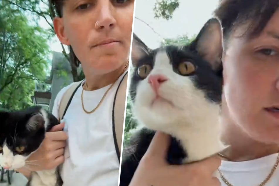 Cat is abandoned into the arms of random woman waiting for a train: "Help"