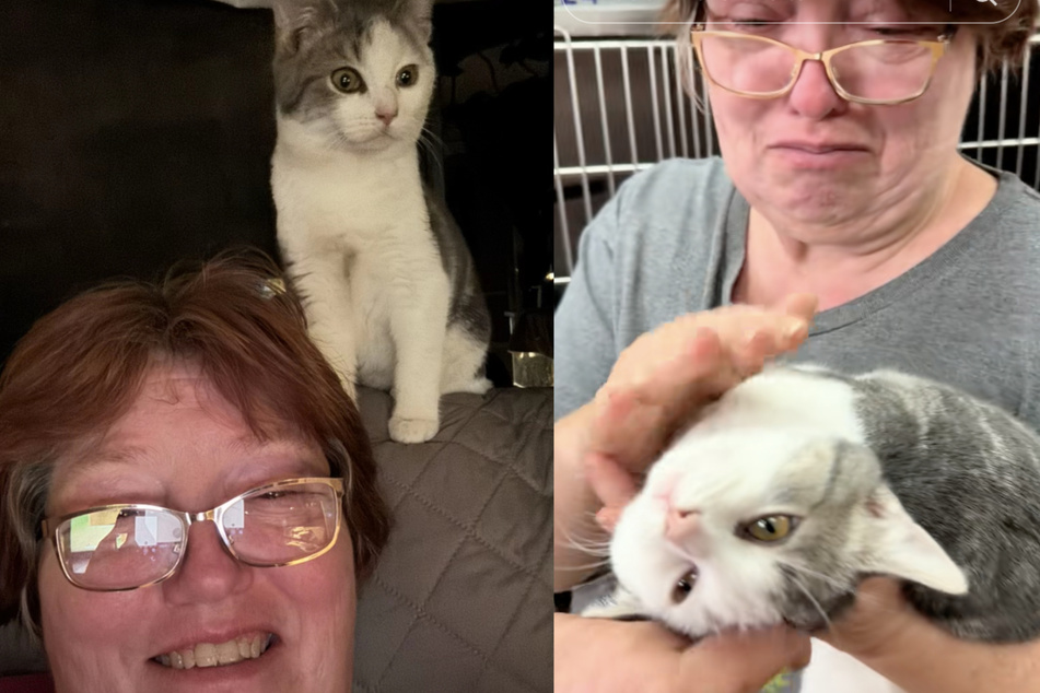 Her family had prepared everything for the adoption of kitten Dusty – without Teresa even knowing!