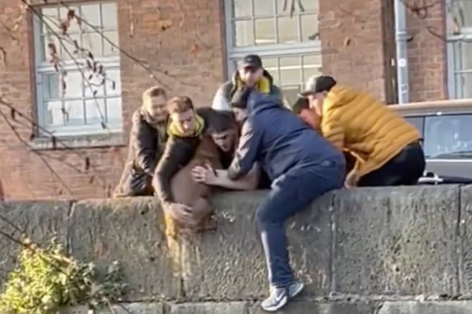 The team of strangers was able to save the dog from drowning!