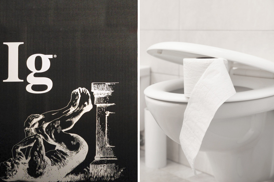 Comedy Ig Nobel Prize goes to a toilet that knows you a bit too well!