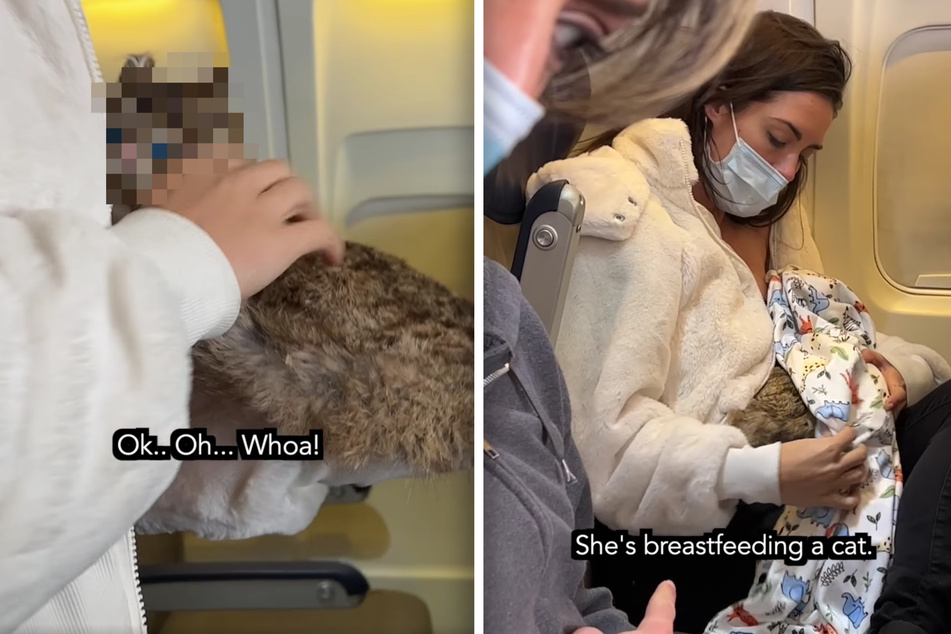 Emotional support lynx: Woman breastfeeding cat on flight goes viral