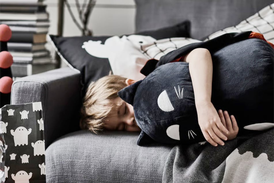 Here are five reasons why IKEA is the place to be for cat-lovers