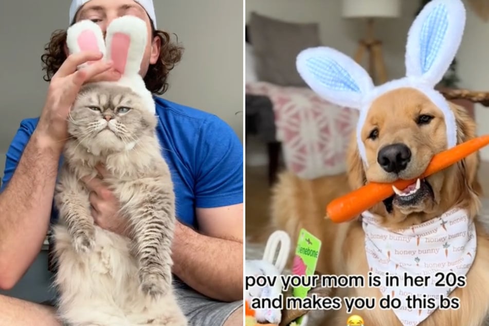 Egg-cellent: These petfluencer cats and dogs are dressing in their Easter best!
