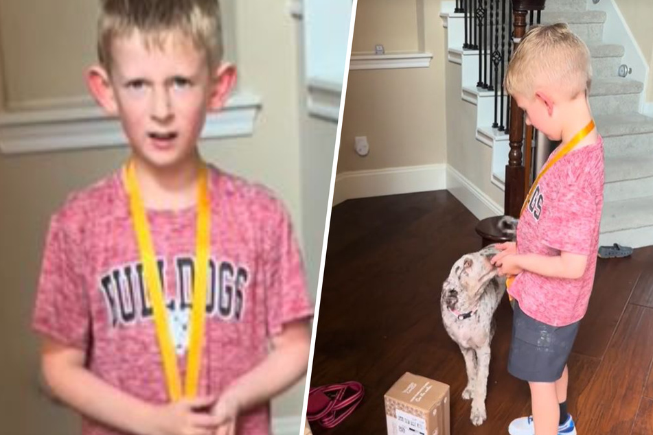 Dog's new haircut confuses six-year-old boy: "Where's Birdie?"