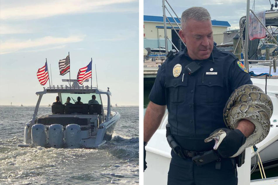 Sailboats frequently visit Rose Marina (l.), where an unwelcome stowaway snake was wrangled by Marco Island Police (r.) this weekend.