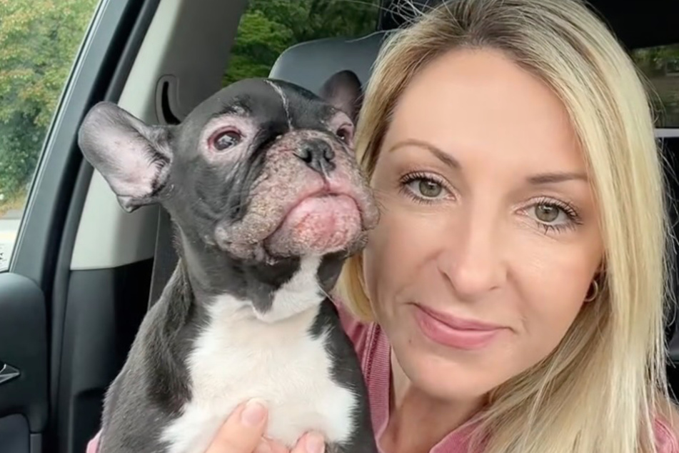 Indy the dog quickly won over the woman's heart, so she soon made a decision.