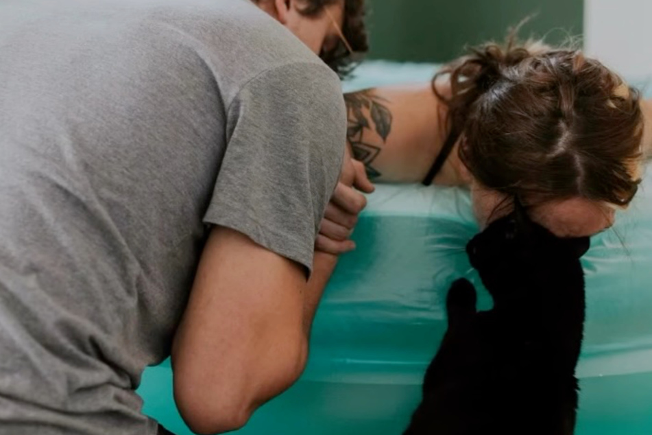 During the labor pains, Jack the cat comforted her owner.