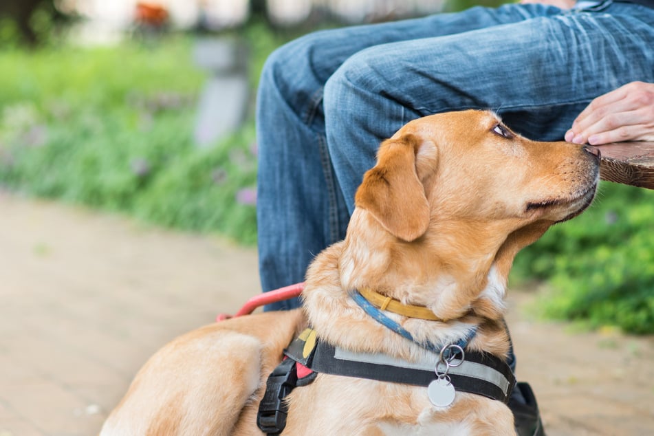 Dog and owner get the same illness in "a million to one" chances