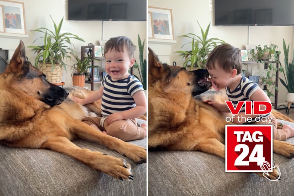 Viral Video of the Day for August 1, 2024: "Inseparable" dog and infant duo captivate viewers!