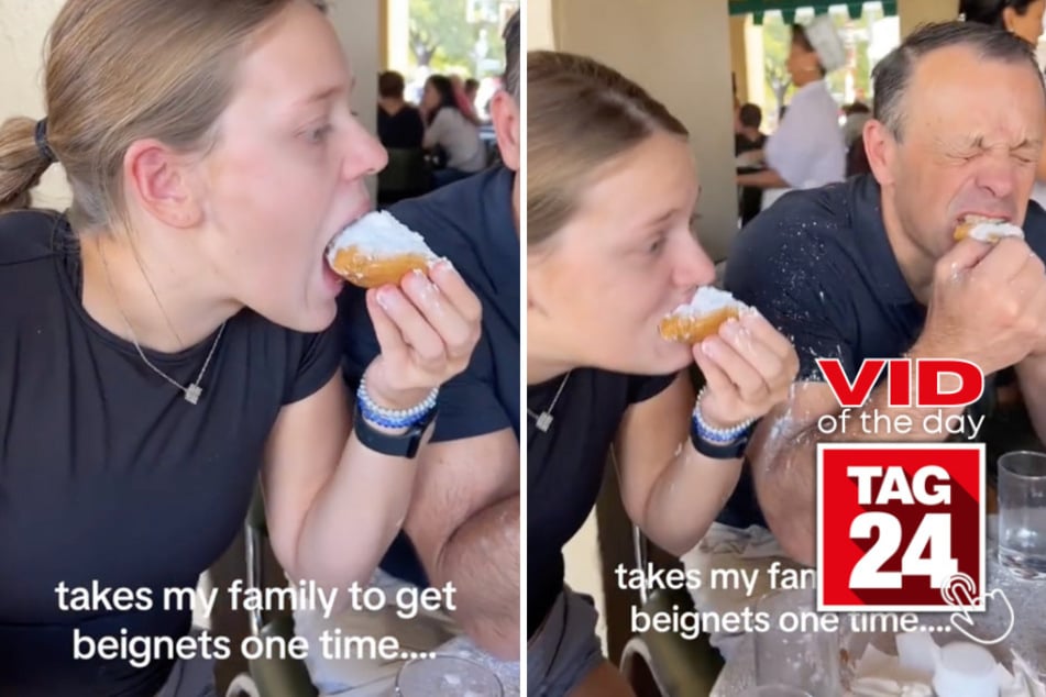 Viral Video of the Day for November 15, 2023: This family cannot be trusted with beignets!
