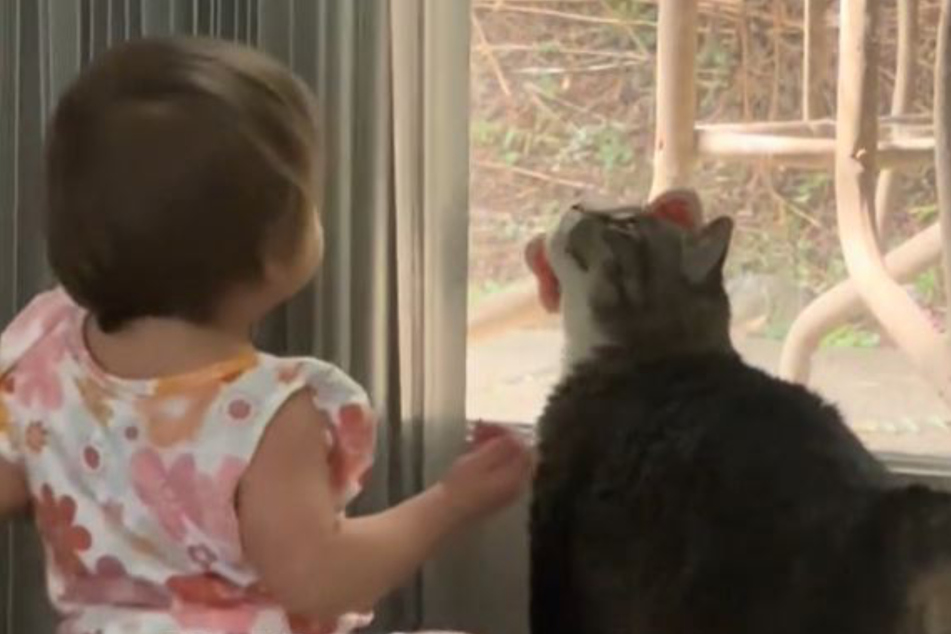 Emma and Callie the cat are best buddies.