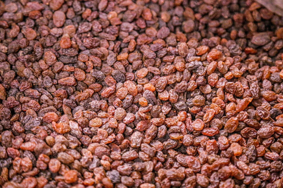 Raisins and grapes contain substances that are highly toxic for dogs.