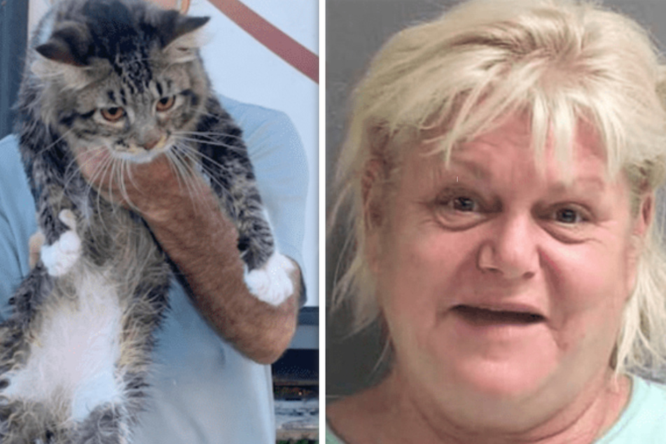 Florida woman arrested after threatening to kill her ex and chucking his cat into a river
