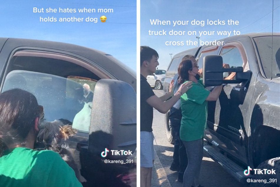 Dog pulls prank on owner by locking them out of car at Mexico border
