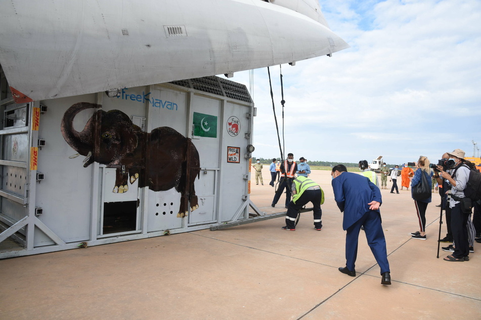 Kaavan arrived in Cambodia by a chartered cargo plane Monday afternoon after spending nearly 35 years in an Islamabad zoo under grim conditions.