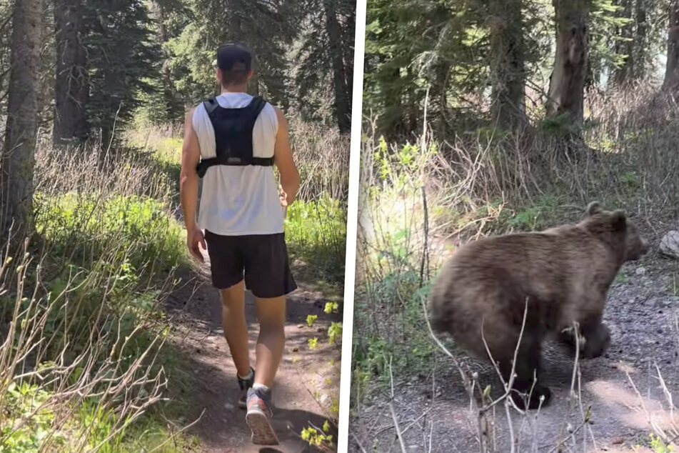 Hikers have terrifying run-in with grizzly bears: "We're actually going to die!"